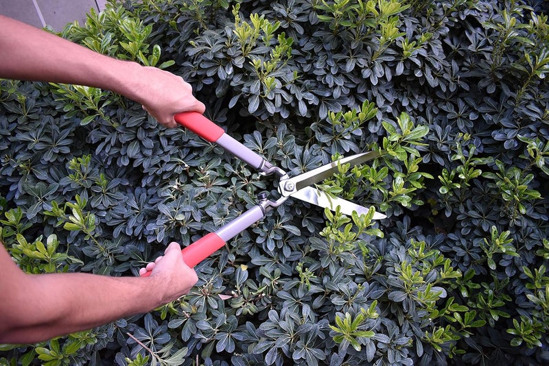 Corona HS15150 ClassicCUT Hedge Shears, 10-Inch, Red - Image 4