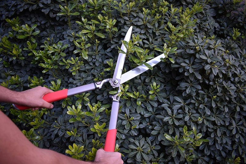 Corona HS15150 ClassicCUT Hedge Shears, 10-Inch, Red - Image 3