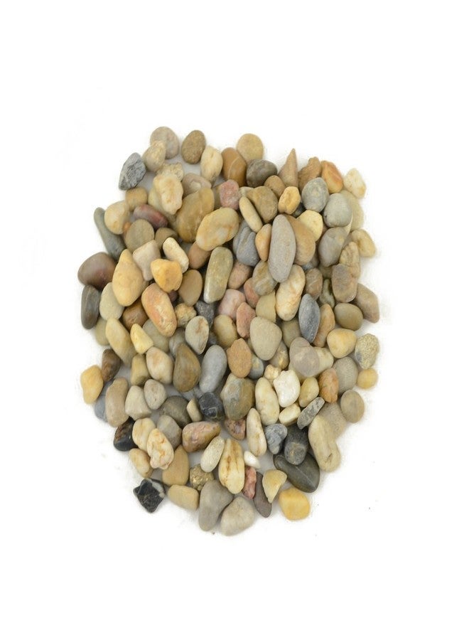 CNZ Polished Gravel Mix 5 Pounds 0.5-0.8Inch for Plant Aquariums, Landscaping, Home Decor