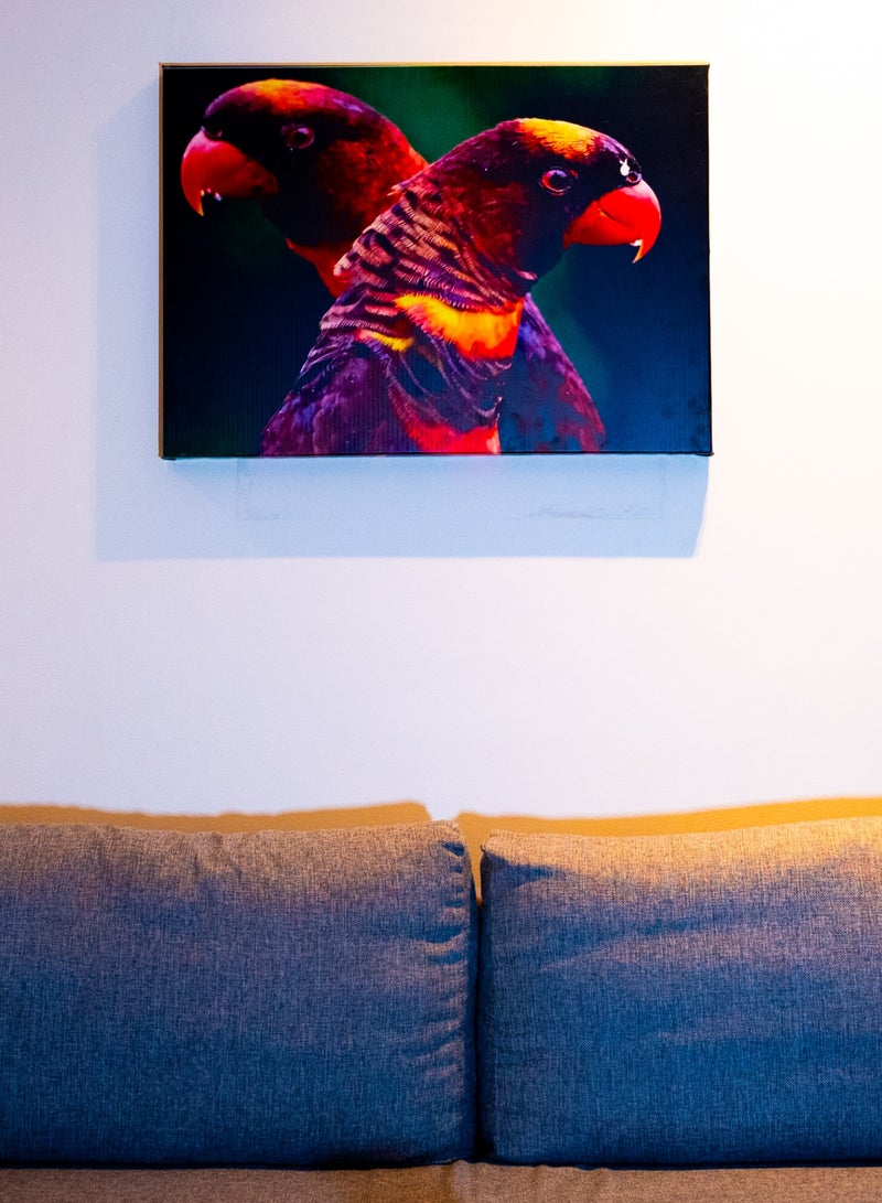 Vibrant Parrot duo Canvas Wall Frame - Image 2