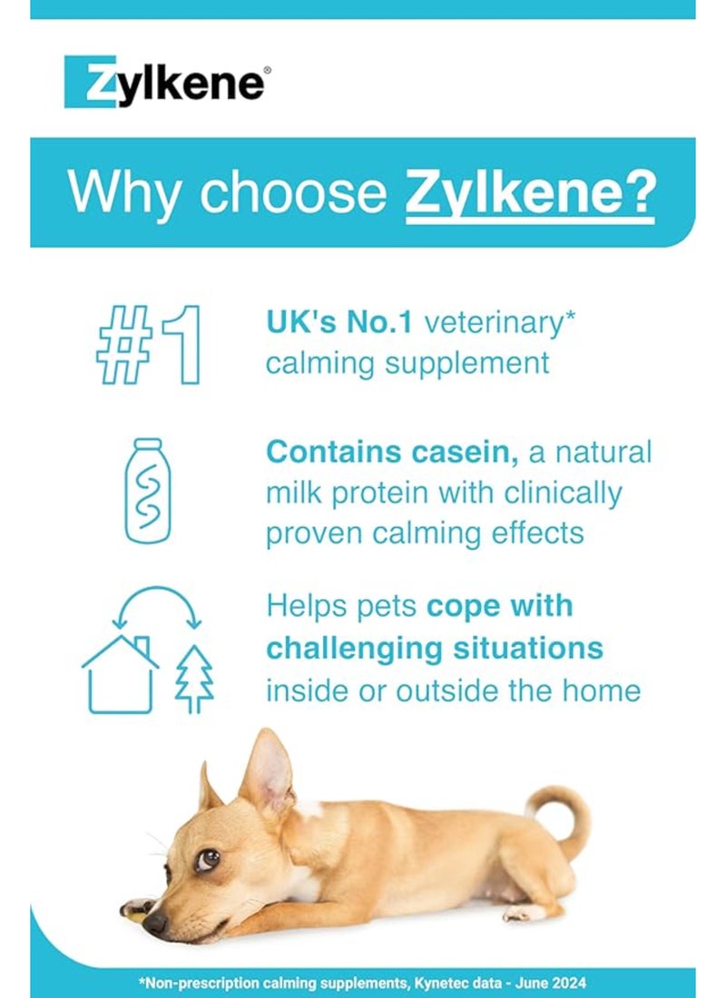 Vetoquinol Zylkene Calming Supplements For Cats And Dogs Up To 10kg 20 Capsules - Image 3
