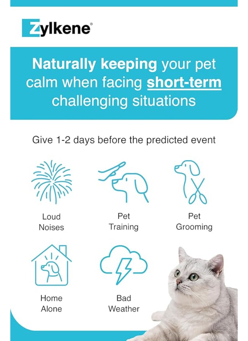 Vetoquinol Zylkene Calming Supplements For Cats And Dogs Up To 10kg 20 Capsules - Image 4