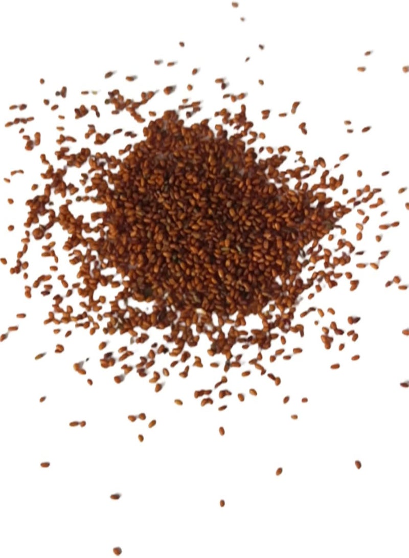 GGOOT 20Pcs/Bag Skeleton Flower Seed Non-GMO Perennial Transparent Flower Rare Skeleton Flower Seedlings for Bonsai Plant Seeds for - Image 1