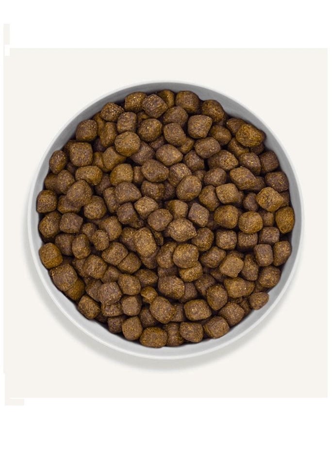 Canagan - Canagan Free Run Turkey Dental Small Breed Dogs Dry Food 2Kg - Image 1