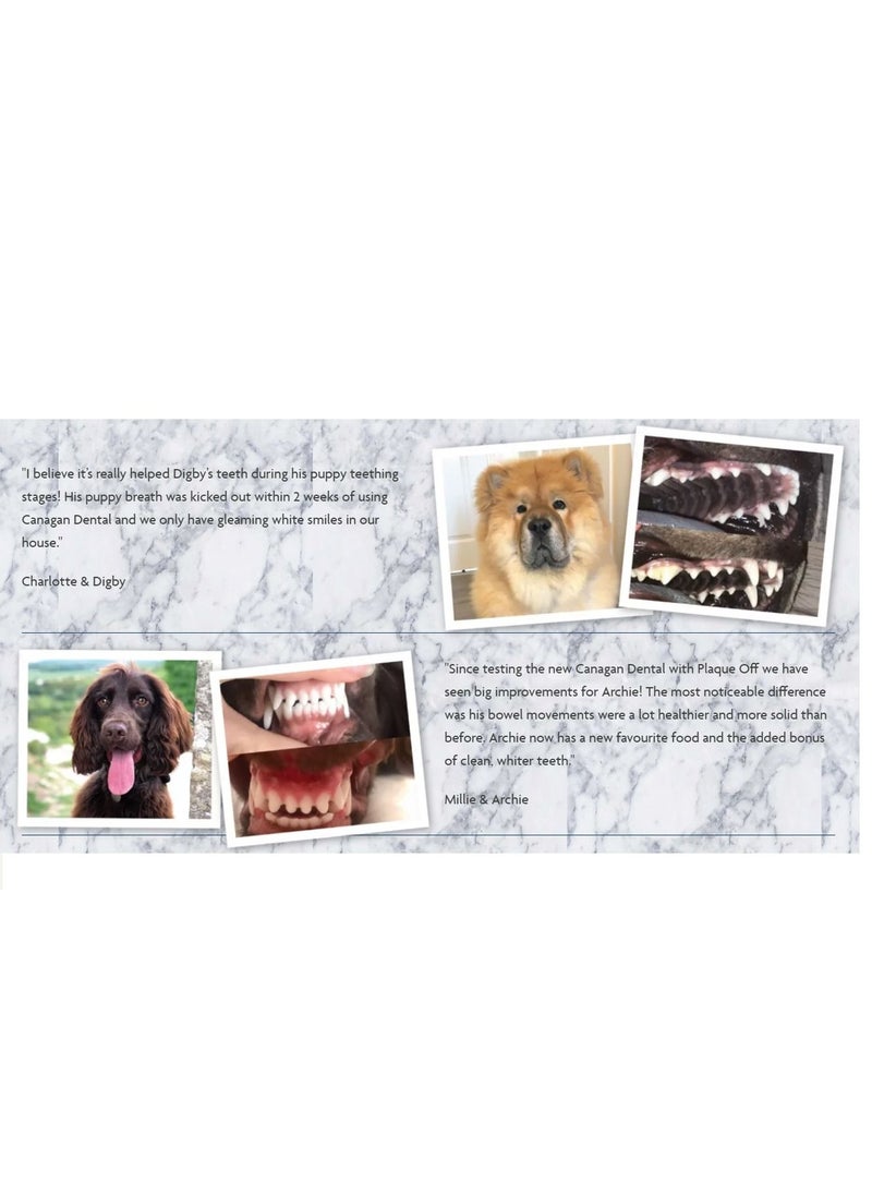 Canagan - Canagan Free Run Turkey Dental Small Breed Dogs Dry Food 2Kg - Image 1