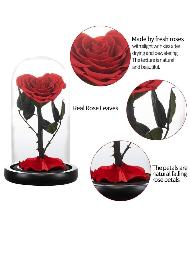 مخطوطات اليدوية شكل القلب إلى الأبد الحفاظ على روز الحقيقي الأبدية روز مربع صناعة يدوية بالكامل ، زهرة إلى الأبد ، هدايا يوم خاص لها ، زوجة ، صديقة ، امرأة ، هدية رومانسية لها ، عيد ميلاد ، ذكرى سنوية ، الحجم: 22x14x14 سم (أحمر) - Image 4