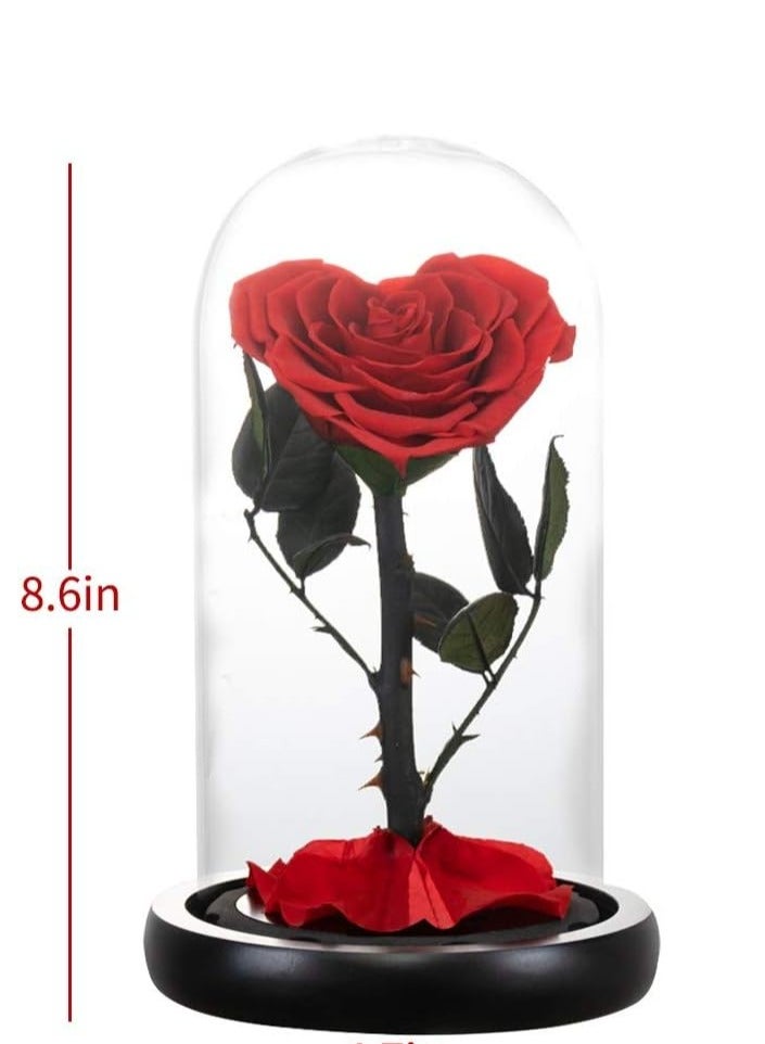مخطوطات اليدوية شكل القلب إلى الأبد الحفاظ على روز الحقيقي الأبدية روز مربع صناعة يدوية بالكامل ، زهرة إلى الأبد ، هدايا يوم خاص لها ، زوجة ، صديقة ، امرأة ، هدية رومانسية لها ، عيد ميلاد ، ذكرى سنوية ، الحجم: 22x14x14 سم (أحمر) - Image 3