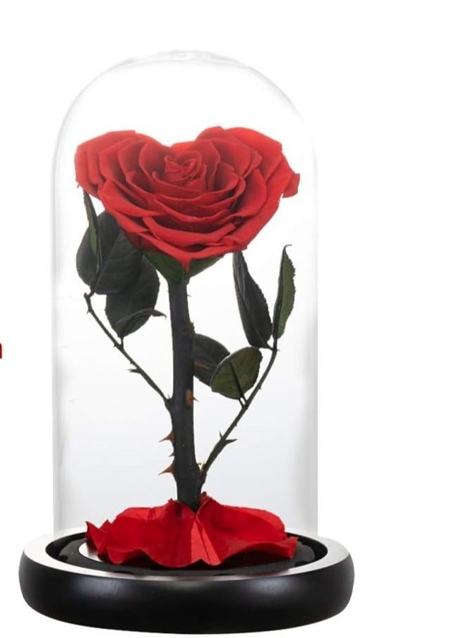 مخطوطات اليدوية شكل القلب إلى الأبد الحفاظ على روز الحقيقي الأبدية روز مربع صناعة يدوية بالكامل ، زهرة إلى الأبد ، هدايا يوم خاص لها ، زوجة ، صديقة ، امرأة ، هدية رومانسية لها ، عيد ميلاد ، ذكرى سنوية ، الحجم: 22x14x14 سم (أحمر) - Image 2
