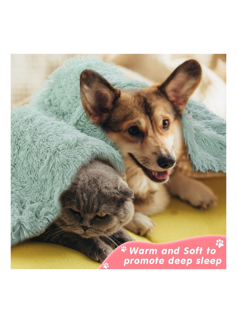 SYOSI 6 Pcs Dog Blankets Large Pet Blanket Fluffy Fleece Throw Blankets 30.7 x 21.3 in Reversible Soft Puppy Blankets Washable Lightweight Sleep Mat Cat Bed Blankets for Couch Sofa Travel, 6 Colors - Image 4