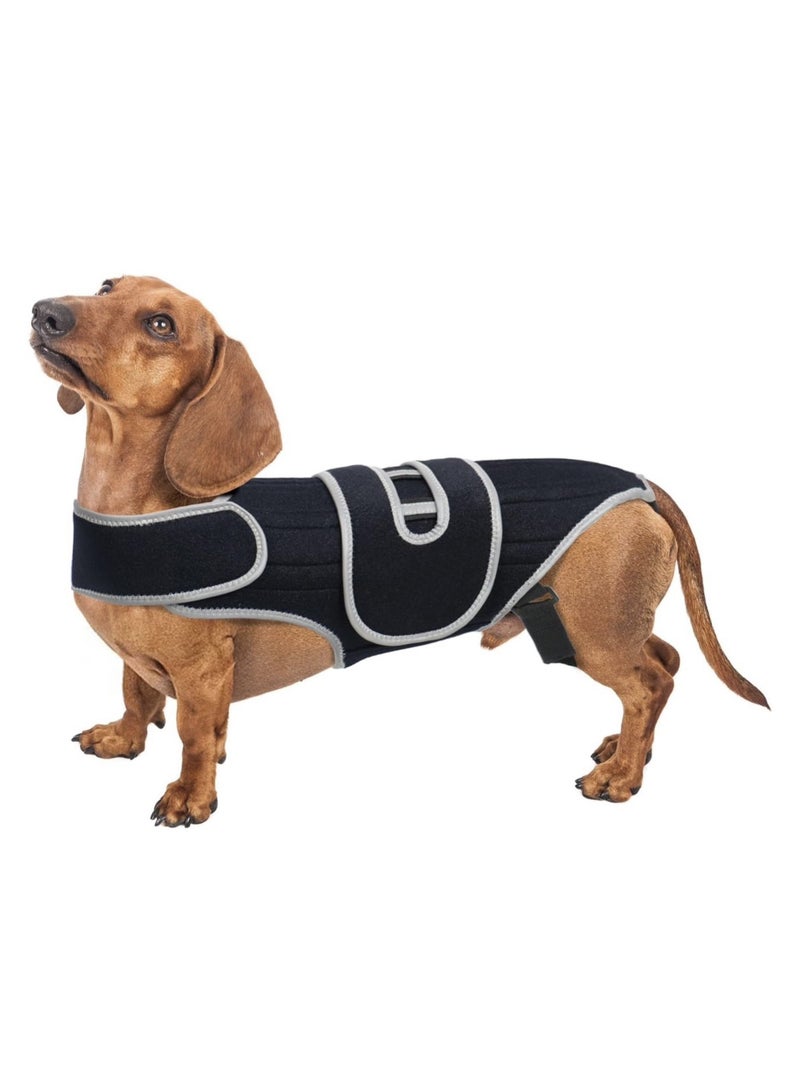 عام حزام حماية للحيوانات الأليفة - دعامة للكلاب للوقاية من إصابات الأقراص بين الفقرات - حزام حماية مريح لكسور الظهر وتسكين الألم - Image 1