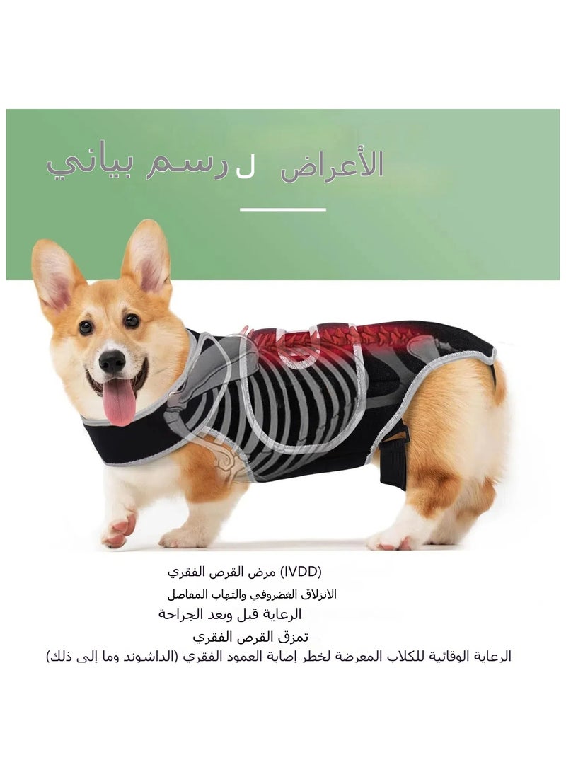 عام حزام حماية للحيوانات الأليفة - دعامة للكلاب للوقاية من إصابات الأقراص بين الفقرات - حزام حماية مريح لكسور الظهر وتسكين الألم - Image 2