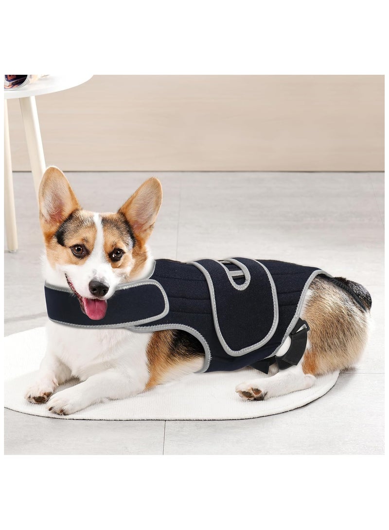 عام حزام حماية للحيوانات الأليفة - دعامة للكلاب للوقاية من إصابات الأقراص بين الفقرات - حزام حماية مريح لكسور الظهر وتسكين الألم - Image 3