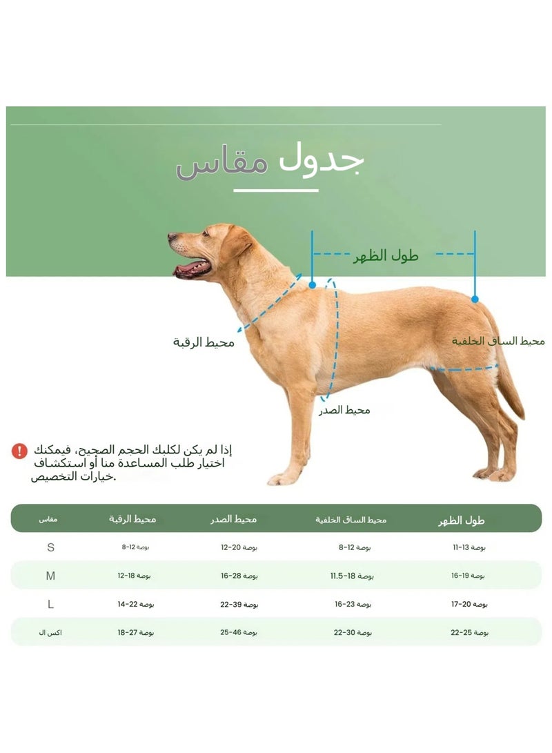 عام حزام حماية للحيوانات الأليفة - دعامة للكلاب للوقاية من إصابات الأقراص بين الفقرات - حزام حماية مريح لكسور الظهر وتسكين الألم - Image 4