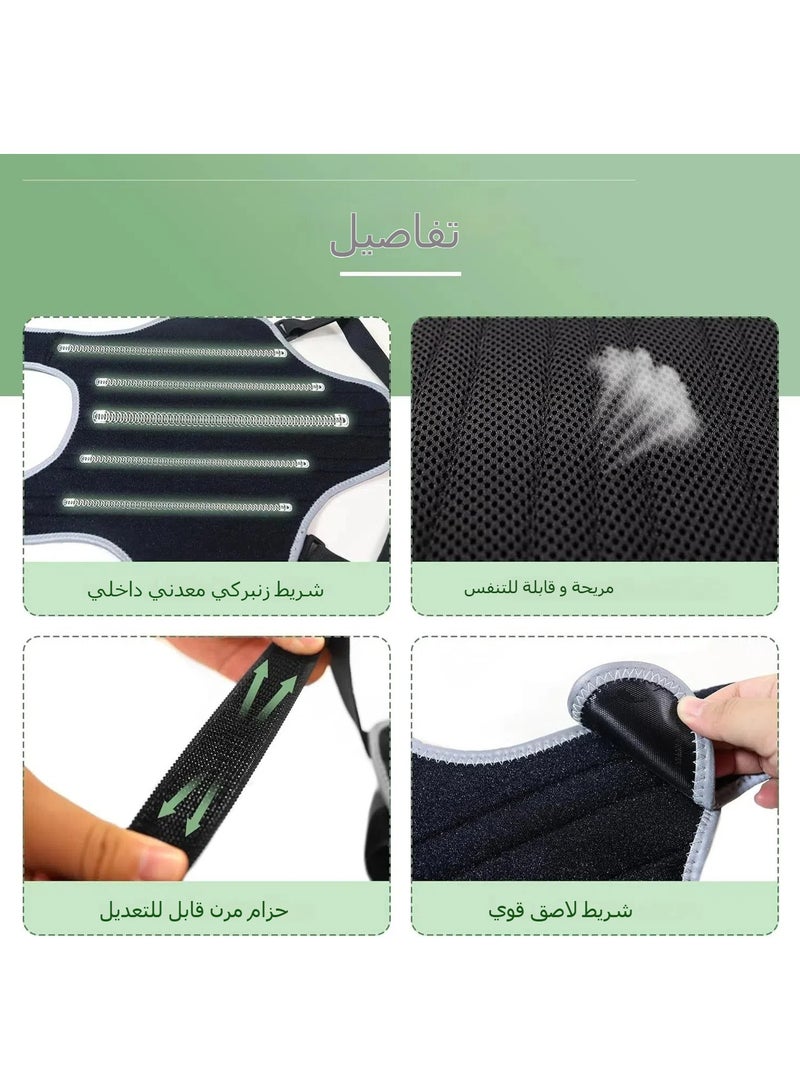 عام حزام حماية للحيوانات الأليفة - دعامة للكلاب للوقاية من إصابات الأقراص بين الفقرات - حزام حماية مريح لكسور الظهر وتسكين الألم - Image 5