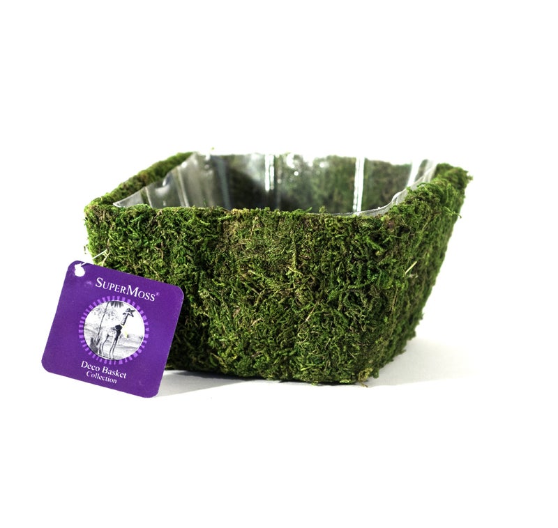 SuperMoss (55041 Marin, Fresh Green, Small - Image 4