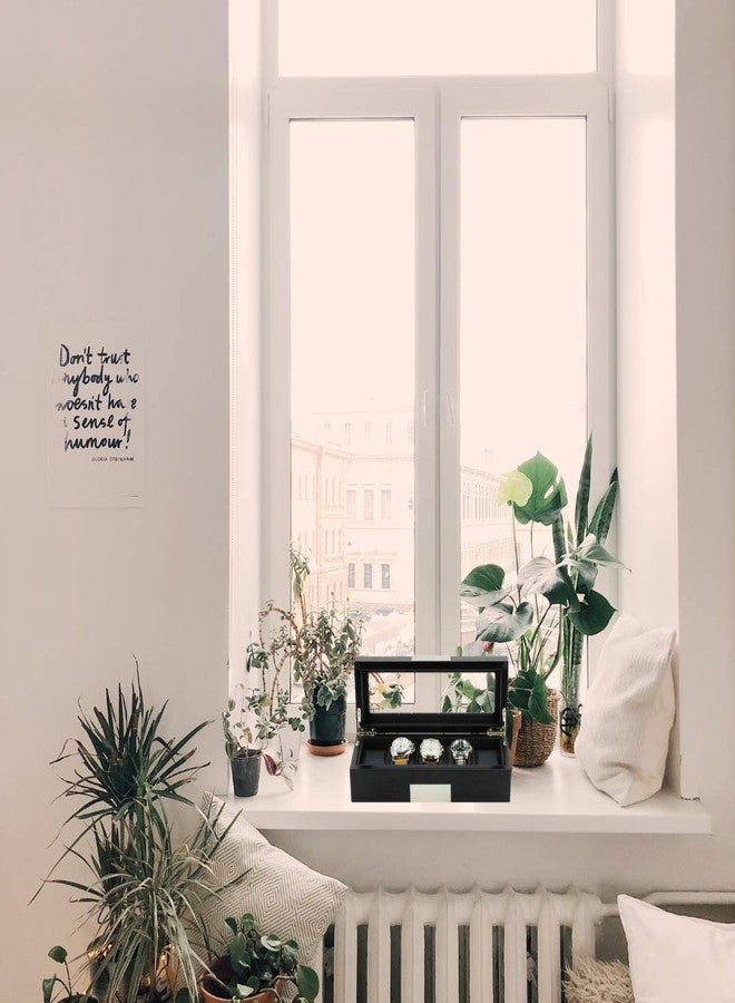 TIMELYBUYS 5 Ebony Wood Watch Box Display Case Storage Jewelry Organizer with Glass Top, Stainless Steel Accents, and Oversized Black Pillows - Image 2