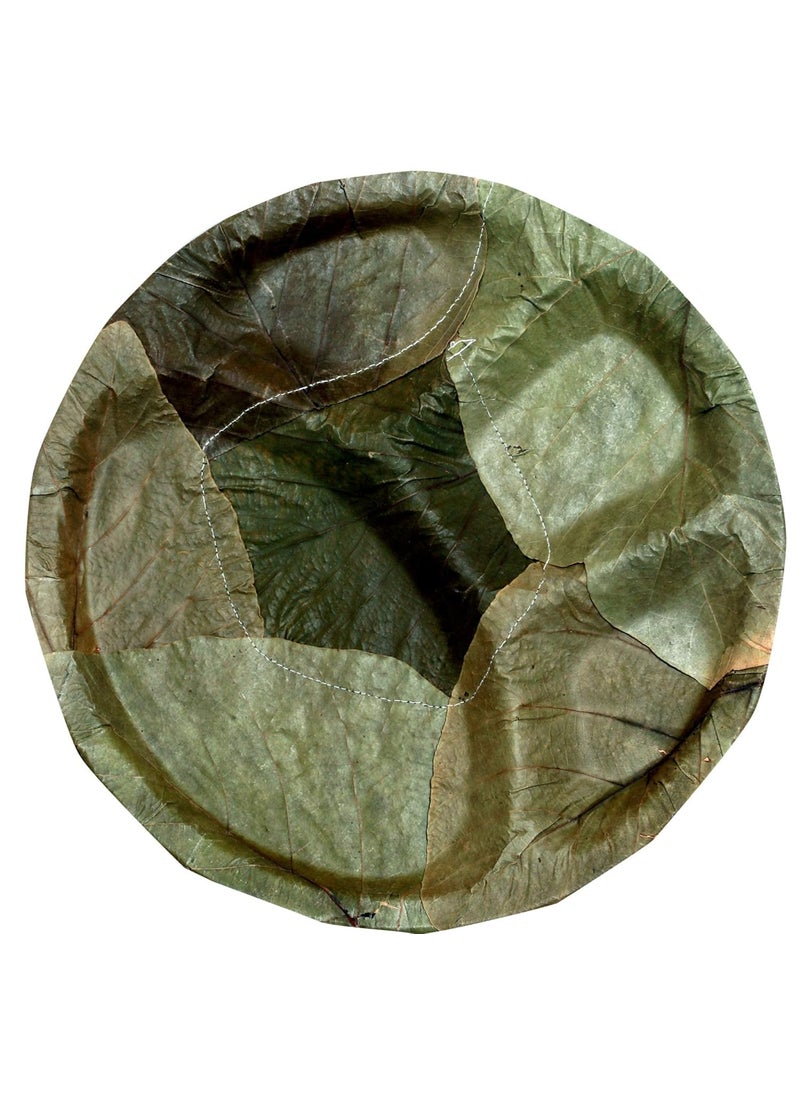 DSOM DSOM Bio Degradable Disposable Eco Friendly Wedding Anniversary Birthday Party Events Occasion Compostable Natural 