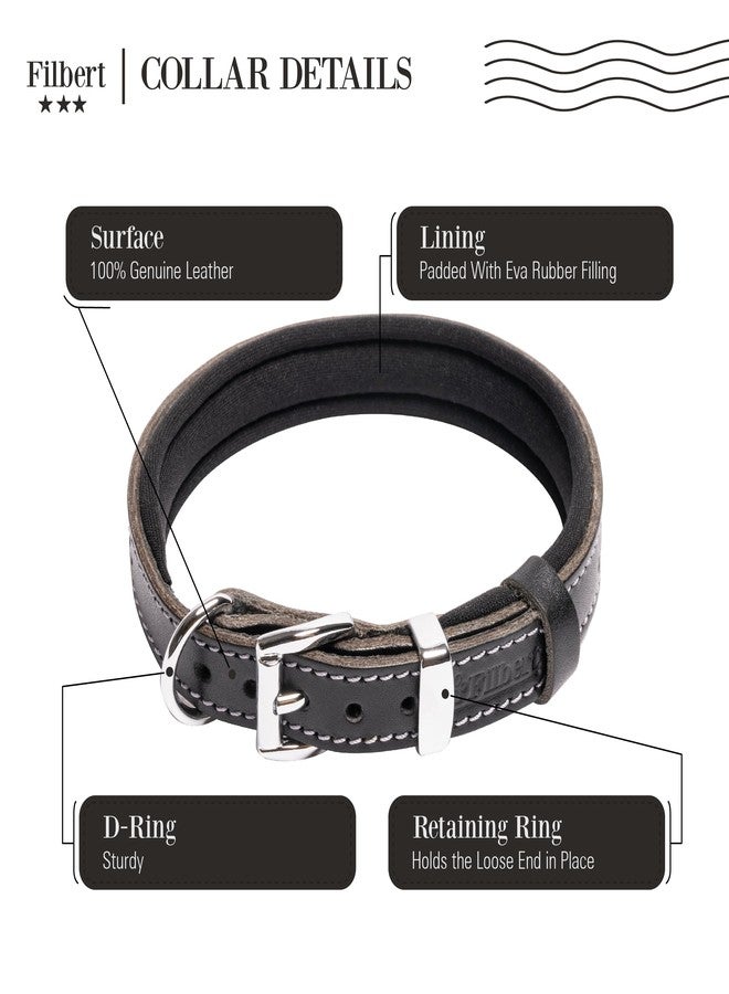 Filbert Leather Dog Collar, Genuine Leather Collar for Large Dogs, Pawprint Embossed with Buckle, Top-Notch Quality Vegetable-Tanned Full Grain, Strong, Adjustable, Heavy Metal Buckle, Black - Image 4