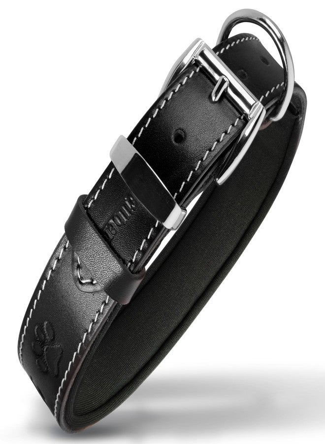 Filbert Leather Dog Collar, Genuine Leather Collar for Large Dogs, Pawprint Embossed with Buckle, Top-Notch Quality Vegetable-Tanned Full Grain, Strong, Adjustable, Heavy Metal Buckle, Black - Image 1
