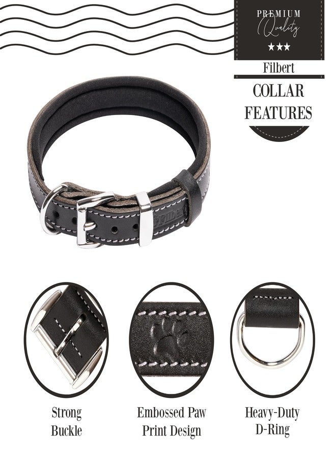 Filbert Leather Dog Collar, Genuine Leather Collar for Large Dogs, Pawprint Embossed with Buckle, Top-Notch Quality Vegetable-Tanned Full Grain, Strong, Adjustable, Heavy Metal Buckle, Black - Image 5