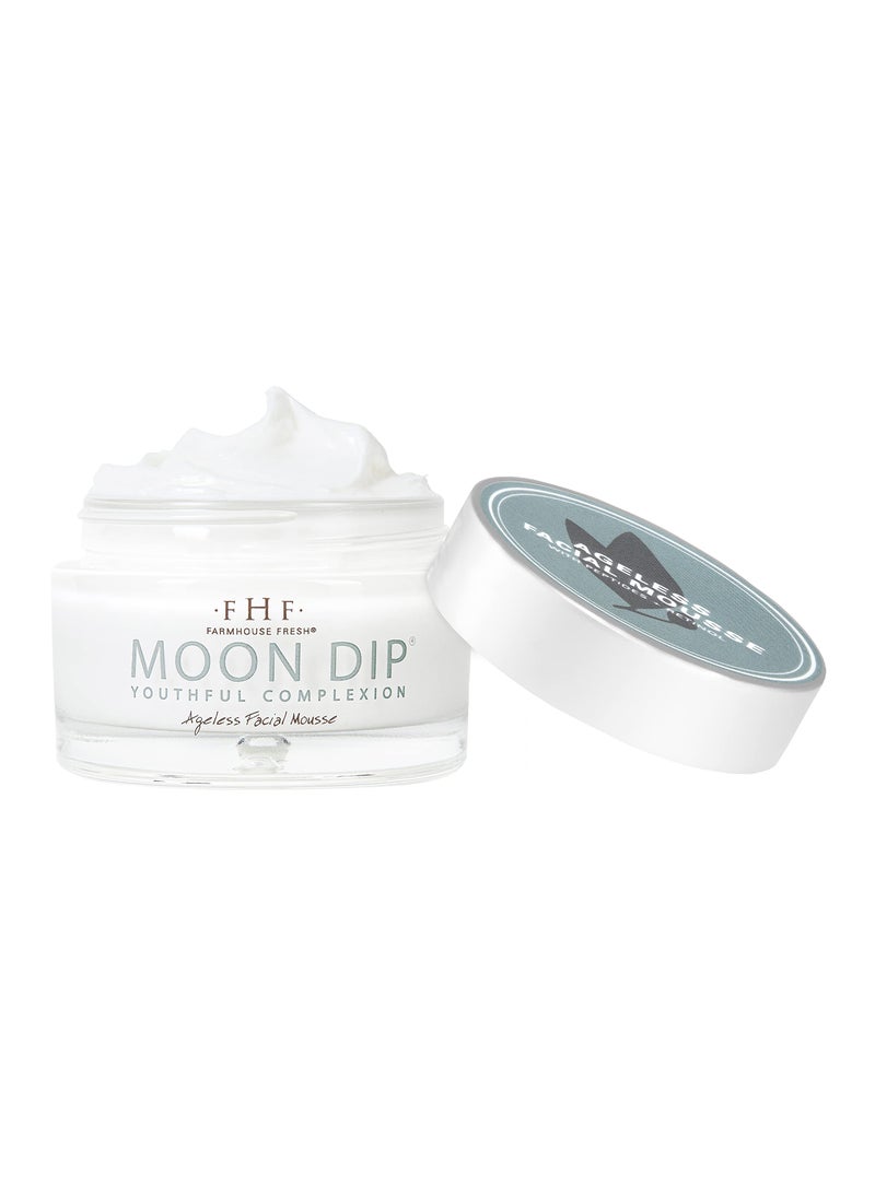 FarmHouse Fresh - FarmHouse Fresh Moon Dip Ageless Facial Mousse, 1.7 oz. - Image 1