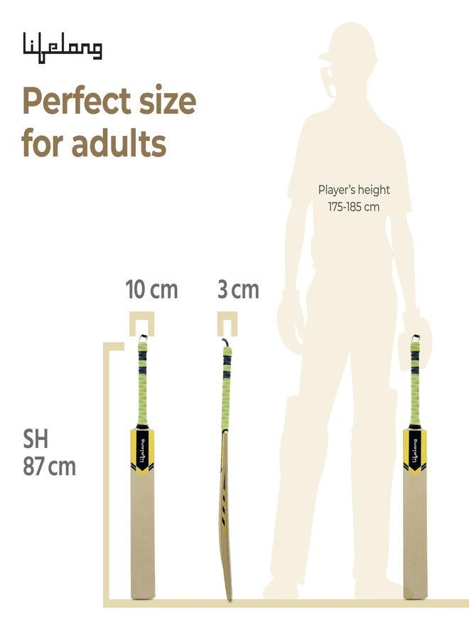 Lifelong Adult Scoop bat | Standard Size Cricket Bat | Lightweight Poplar Wood | Soft & Medium Tennis Ball Play | Durable Rubber Grip | Fast Swing Groove Design | Tournament-Ready Wooden Bat - Image 2