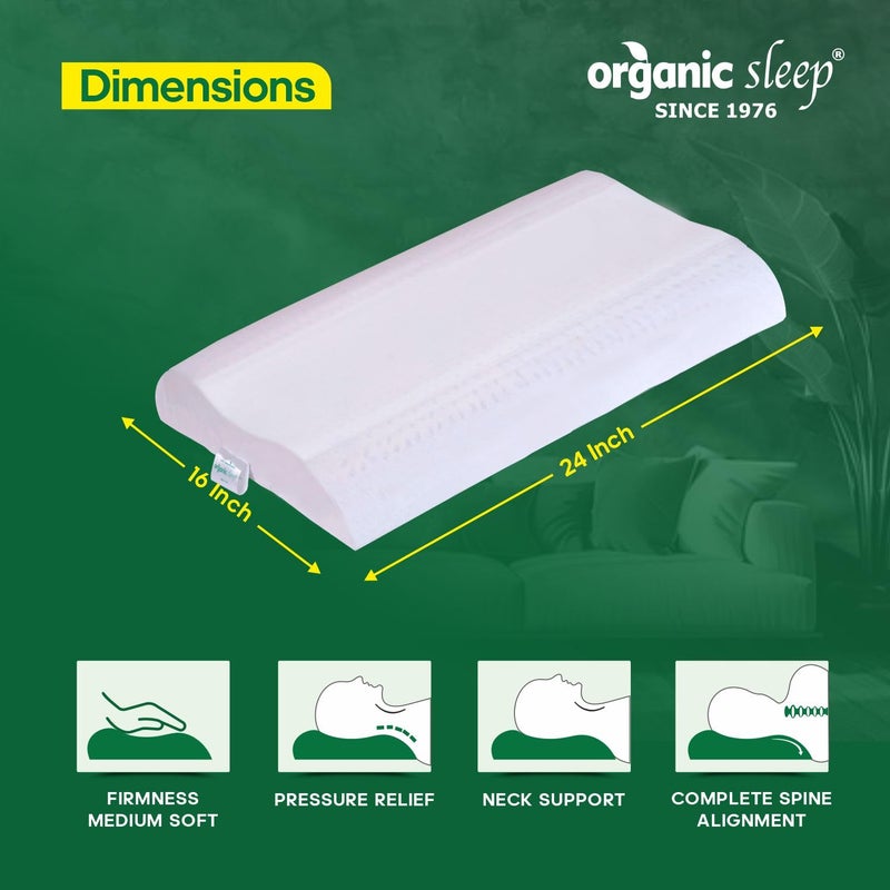 ORGANIC SLEEP وسادة النوم العضوية بتصميم كونتور، 100% لاتكس طبيعي، حجم 24x16 بوصة، سمك 3/4 بوصة، كثافة 45، دعم تقويمي للرقبة، تخفيف آلام العنق، عبوة من 2 مع غطاء قطن - Image 3