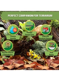 SunGrow Dwarf Frog Mini Catappa Leaves (50 Pc)  Tannin Helps Remove Ammonia, Lower Ph  Leaf Litter Indian Almond Leaves, Aquarium Water Treatment, Decor Accessories  - Image 4