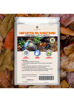 SunGrow Dwarf Frog Mini Catappa Leaves (50 Pc)  Tannin Helps Remove Ammonia, Lower Ph  Leaf Litter Indian Almond Leaves, Aquarium Water Treatment, Decor Accessories  - Image 5