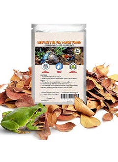 SunGrow Dwarf Frog Mini Catappa Leaves (50 Pc)  Tannin Helps Remove Ammonia, Lower Ph  Leaf Litter Indian Almond Leaves, Aquarium Water Treatment, Decor Accessories  - Image 1