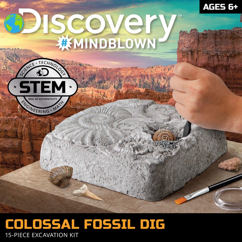 Discovery Colossal Fossil Dig Set, 15-Piece Archeology Excavation Kit, Uncover Real Shark Teeth and More, STEM Toys for Boys and Girls - Image 2