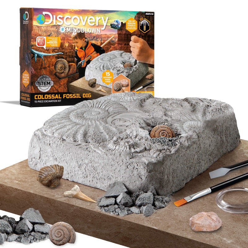 Discovery Colossal Fossil Dig Set, 15-Piece Archeology Excavation Kit, Uncover Real Shark Teeth and More, STEM Toys for Boys and Girls - Image 1