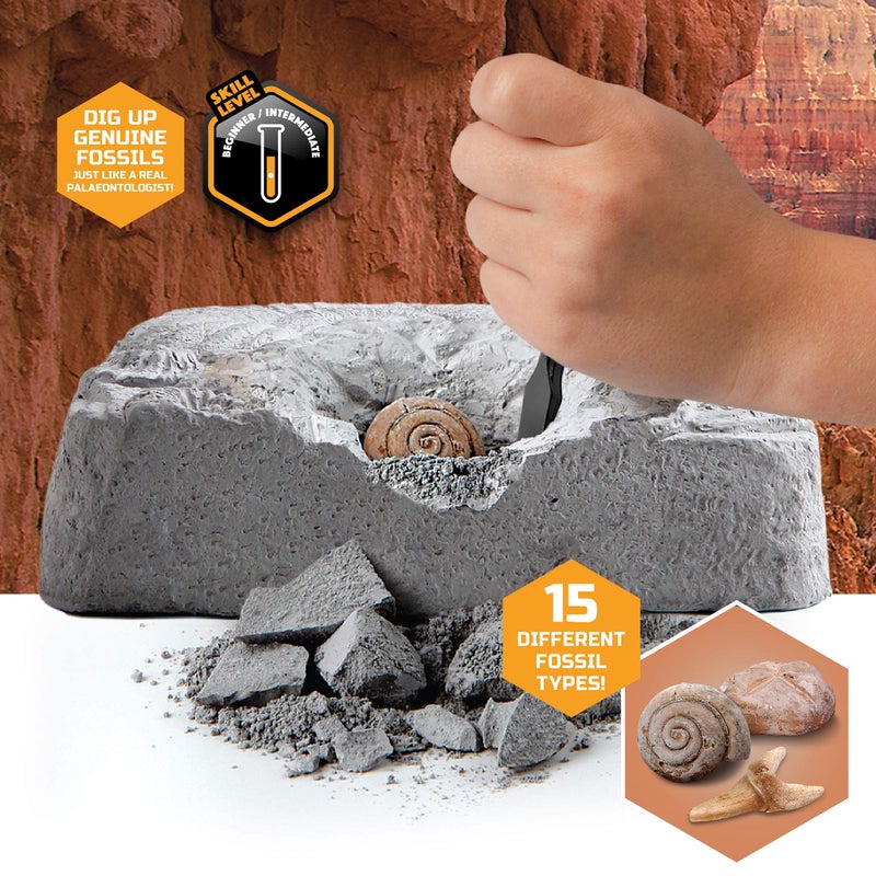 Discovery Colossal Fossil Dig Set, 15-Piece Archeology Excavation Kit, Uncover Real Shark Teeth and More, STEM Toys for Boys and Girls - Image 3