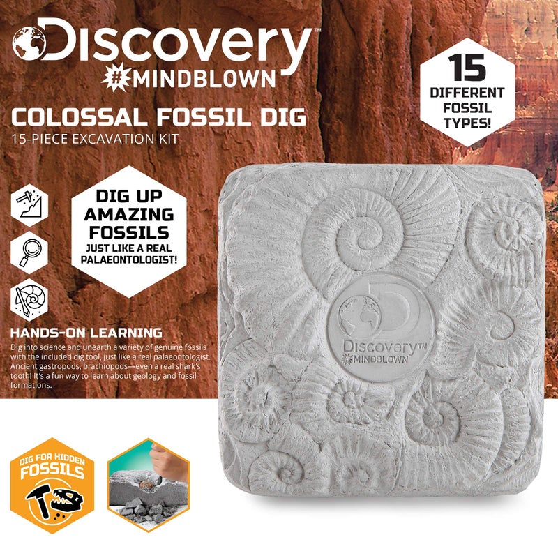 Discovery Colossal Fossil Dig Set, 15-Piece Archeology Excavation Kit, Uncover Real Shark Teeth and More, STEM Toys for Boys and Girls - Image 4