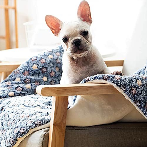 FJWYSANGU Pet Blanket Premium Fluffy Flannel Cushion Soft and Warm Mat for Dogs Cats(Star/Blue,Large) - Image 5