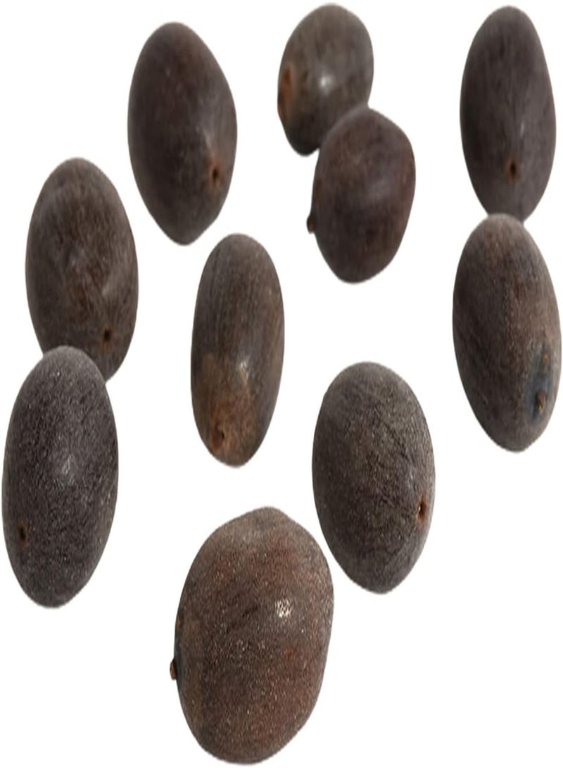 GGOOT 20Pcs/Bag Lotus Seeds Easy to Plant Flowering Plants Viable Indoor Outdoor Sowing Bonsai Seeds for Garden - Purple - Flower Seeds Vegetable Seeds Fruit Seeds Garden Plant Seeds for Planting  - Image 5