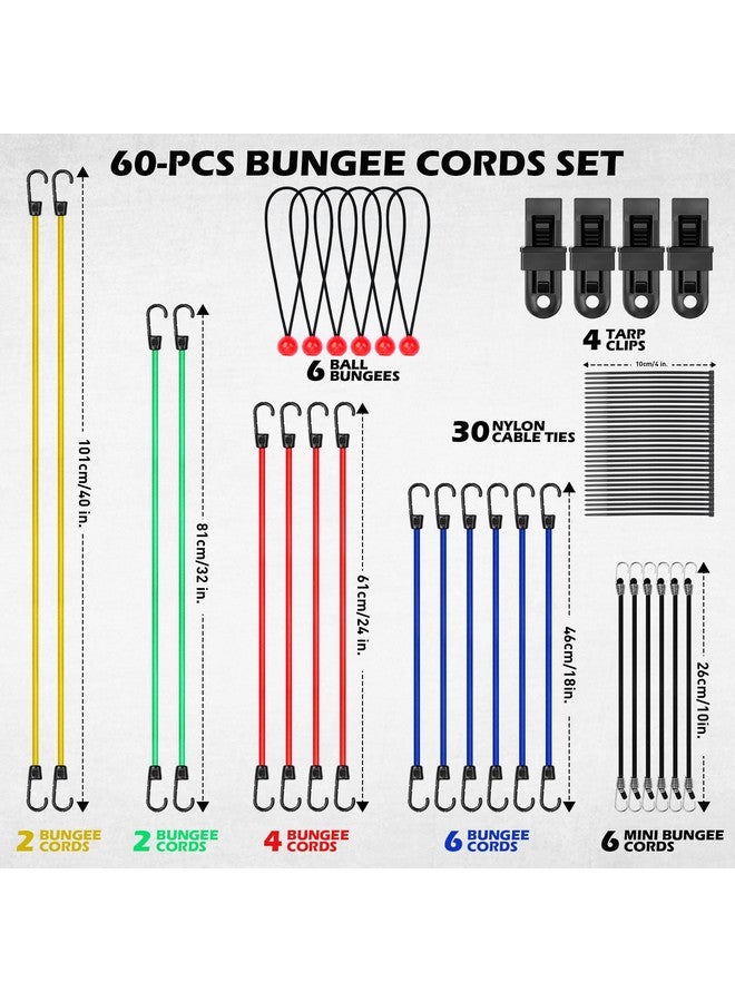 SEDY 60-Piece Bungee Cords Assorted Sizes - 10" 18" 24" 32" 40" Bungee Cords with Hooks, Heavy Duty Outdoor, Large Medium Small Mini Elastic Canopy Tarp Bungees Ball Ties Tarp Clips Organizer - Image 2