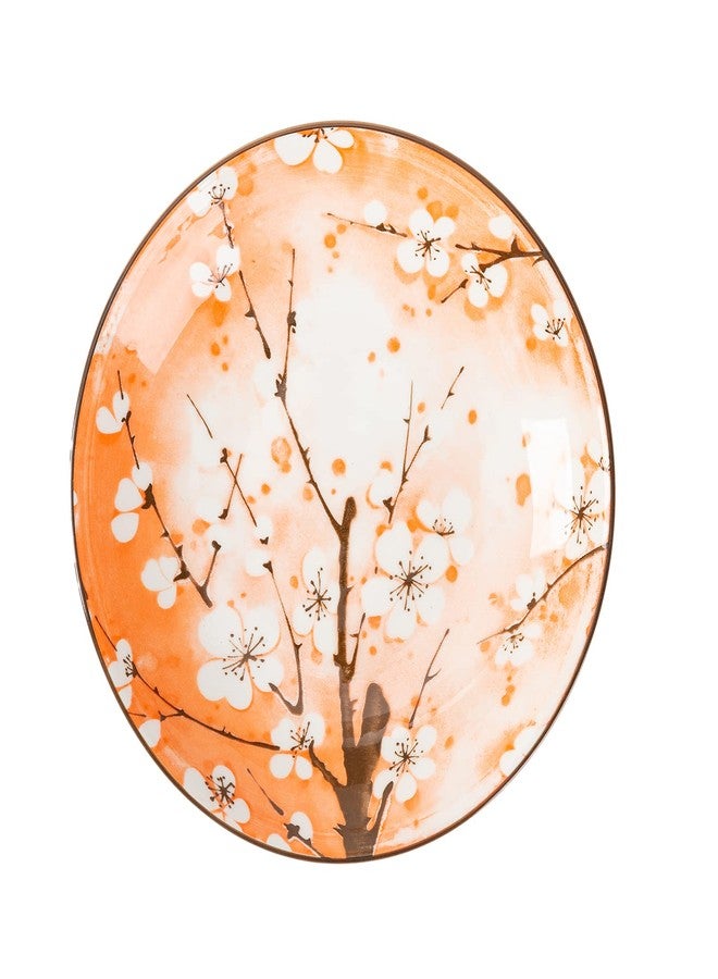 TJ Global Set of 4 Japanese Pottery Ceramic 7 Inch Plates for Any Meal and Any Dish, Japanese Dinnerware and Tableware Comes in Assorted Colors with Cherry Blossom Design - Image 5