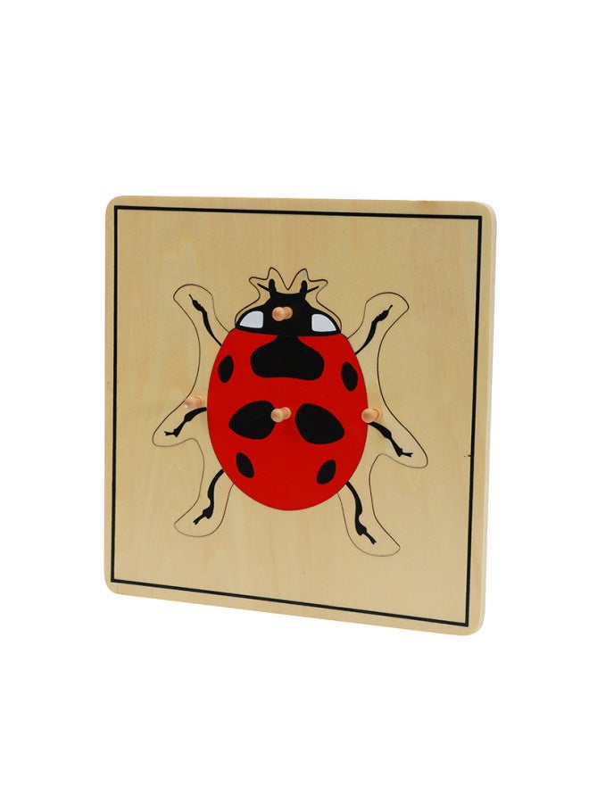 Tiger Everyday Montessori Montessori Early Childhood Teaching Aids Biological Educational Toys Animal And Plant Insect Panel Growth Puzzle - Image 4