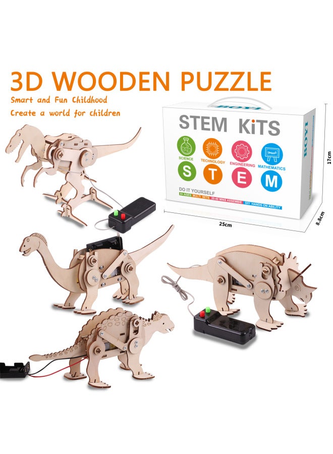 Science Physics Experiment Toy Teaching Gift Science Education Children Handmade Diy Assembled Material Bag Small Production Wholesale-Specifications:Energy Conversion 4-piece Set-subject English 57  - Image 3