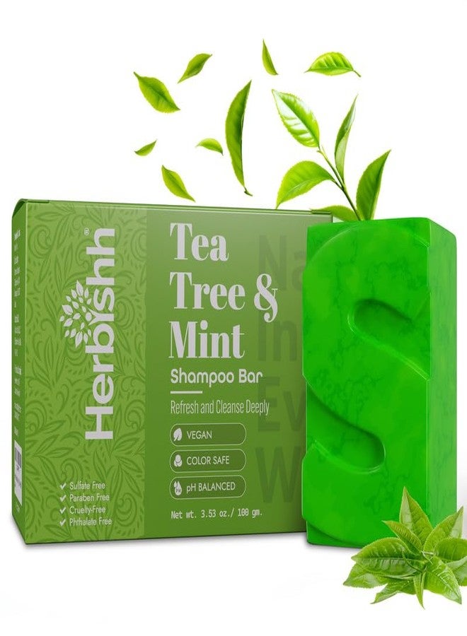Herbishh Tea Tree & Mint Shampoo Bar - Tea Tree Oil Soap Bar for Oily Hair & Scalp Cleanse - Solid Travel Size Shampoo for Men & Women - Minty Deep Cleansing, 3.53 oz - Image 1