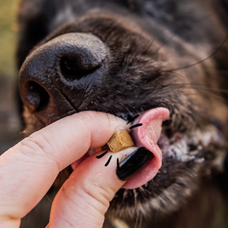 Spot & Tango Beef Dog Training Treats - 100% Beef Liver, Freeze-Dried Dog Snack - Grain & Gluten-Free - for Small, Medium, and Large Dogs - for Puppies Through Seniors - Image 4