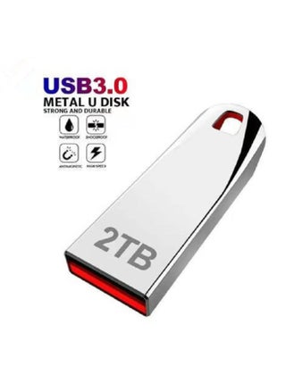 32g64g128g256g512g U القرص ترقية 1 تيرابايت سعة كبيرة U القرص المعدني التوسع U القرص 2 تيرابايت-اللون: Z71 فضي-السعة: 64-2T - pzsku/ZFA80329775F188E0A1BDZ/45/1744785248/ffab7f89-51fc-45f1-9bc9-b114d14b2507