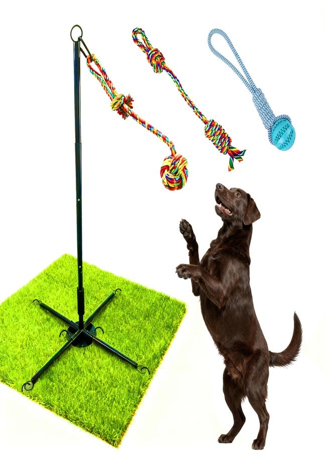 Vechor Tether Tug Outdoor Dog Toy, Interactive Exercise Game for Yard & Park with 3 Rope Toys for Tug of War, Pull Chase and Solo Play for Large Medium Small Dogs - Image 1