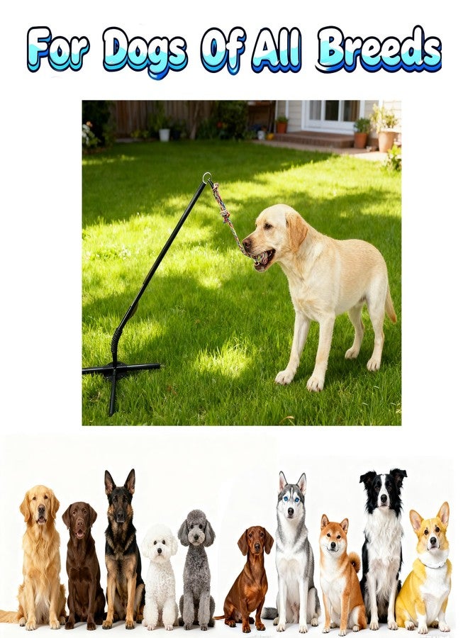 Vechor Tether Tug Outdoor Dog Toy, Interactive Exercise Game for Yard & Park with 3 Rope Toys for Tug of War, Pull Chase and Solo Play for Large Medium Small Dogs - Image 3