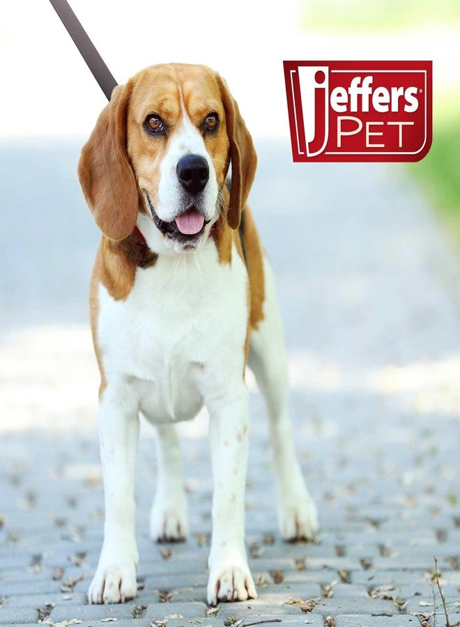 Jeffers Pet Flat Leather Dog Leash with Handle, Long Training Lead with Brass Hardware for Walking, Hiking, Small to Medium Dogs, Classic Chestnut Strap - Gifts for Dog Lovers - 3/4" W x 6' L - Image 2