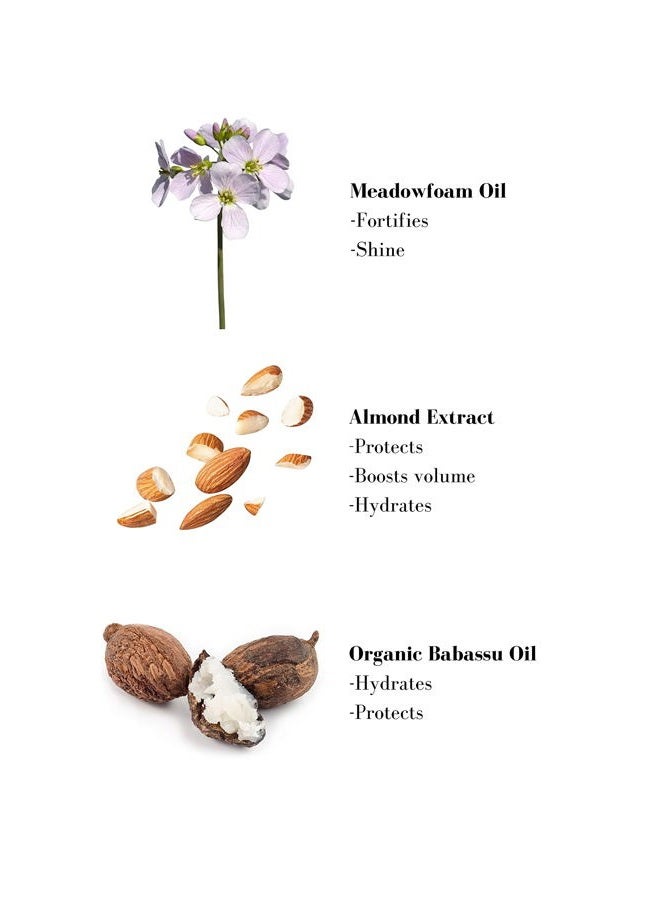 Leonor Greyl Paris Paris - Soin Repigmentant Icy Brown - Color-Enhancing Hydrating Conditioner - Intensifies the Radiance for Dark Blonde to Light Brown Hair (6.7 oz) - Image 2