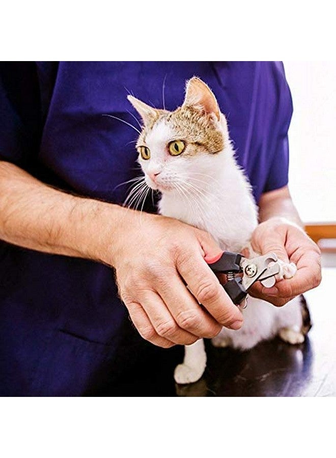 سايج سكوير مقص أظافر الكلاب مع مقص (قد يختلف اللون) - Image 2