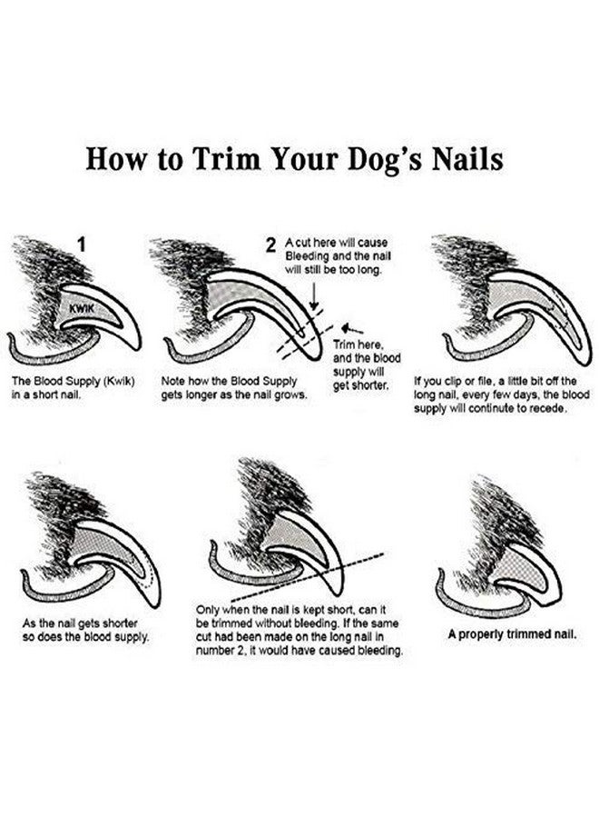 سايج سكوير مقص أظافر الكلاب مع مقص (قد يختلف اللون) - Image 5