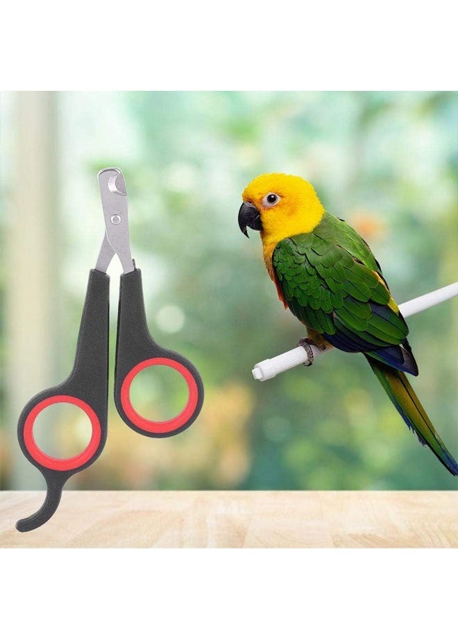 Bird Nail Clipper Grooming Tool Nail Scissors Clipper Pet Bird Parrot Small Animals Accessory for Small Parrot Birds - Image 5